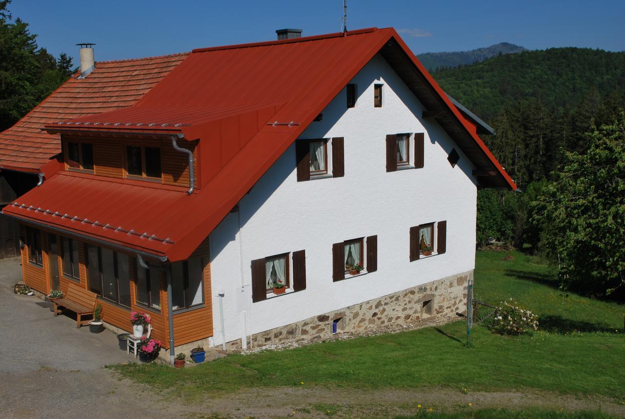 Ferienhaus "Lisa'S Haeusl" Нойшенау Екстер'єр фото